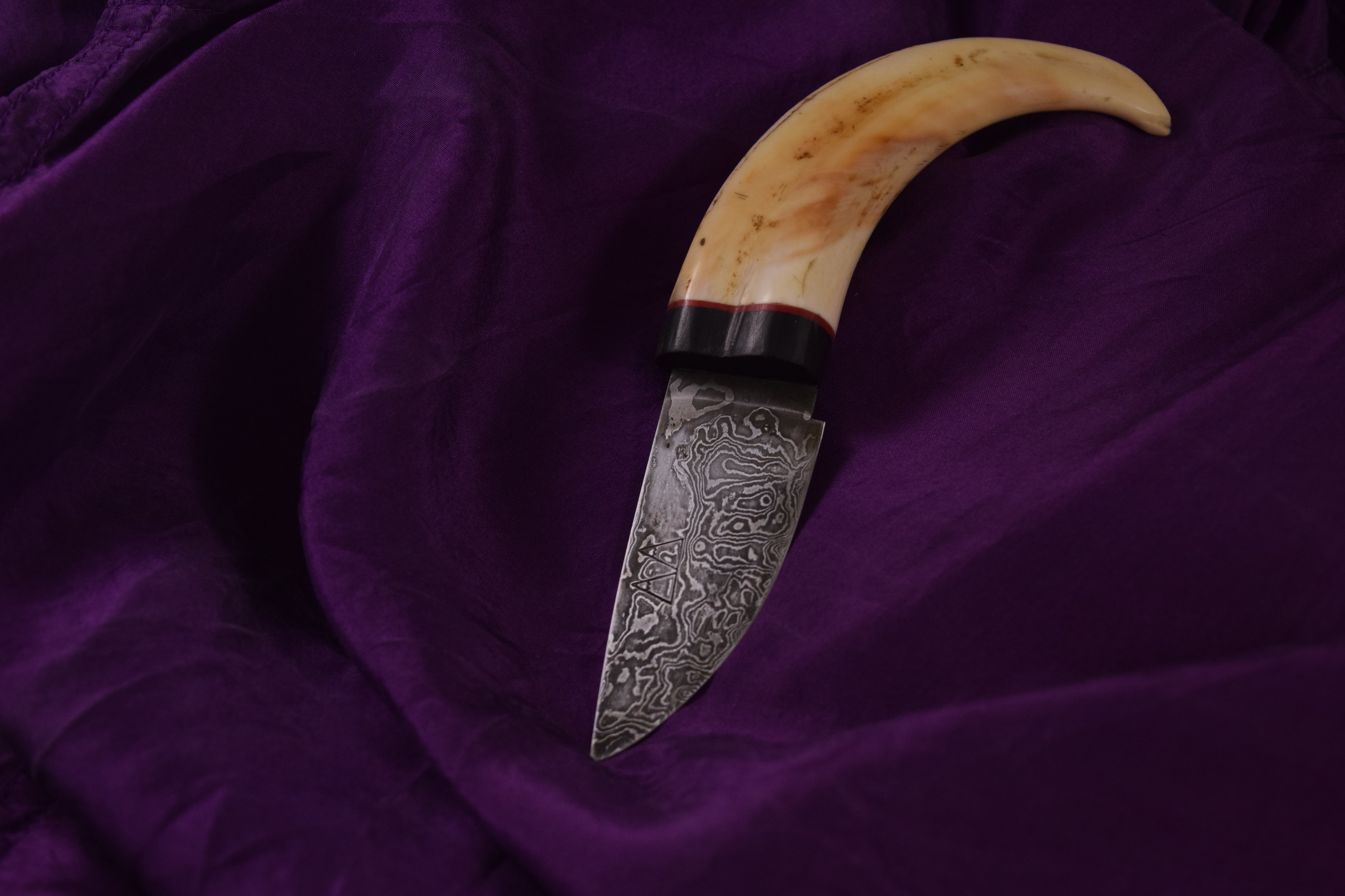 A 192-layer Damascus steel custom skinning knife with a Warthog Tusk handle. A 192-layer Damascus steel custom skinning knife with a Warthog Tusk handle.